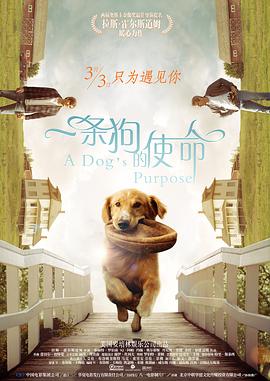 精品国产三级在线观看