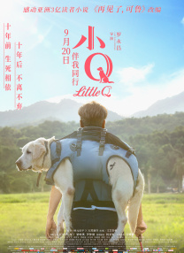 轻轻草在线视频
